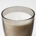 ENSTAKA Scented candle in glass