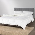 Comforters & Bedspreads| Sleep Solutions by Westex White Solid Queen Comforter (Cotton with Down Fill) - SS58137