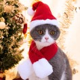 Christmas Santa Hats Plush Pet Dog Cat Red Hat Merry Christmas Caps Deluxe Headpiece Adjustable 3D Cosplay Costume Accessories Comfort Liner Soft Hats Cute Holiday Party Decorations Supplies 8 Pack