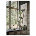 SATSUMAS Plant stand with 5 plant pots