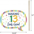 Big Dot of Happiness Funny 13th Birthday Cheerful Happy Birthday Colorful Thirteenth Birthday Party Photo Booth Props Kit 10 Piece