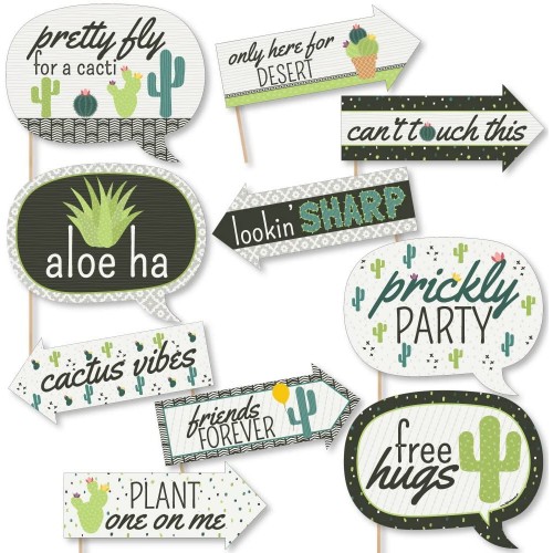 Big Dot of Happiness Funny Prickly Cactus Party Fiesta Party Photo Booth Props Kit 10 Piece