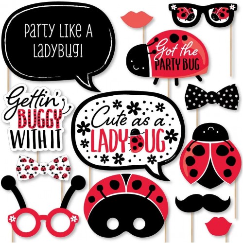 Big Dot of Happiness Happy Little Ladybug Baby Shower or Birthday Party Photo Booth Props Kit 20 Count