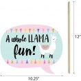 Big Dot of Happiness Whole Llama Fun Llama Fiesta Baby Shower or Birthday Party Photo Booth Props Kit 20 Count