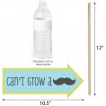 Funny Dashing Little Man Mustache Baby Shower or Birthday Party Photo Booth Props Kit 10 Piece