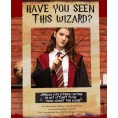 LaVenty Have You Seen This Wizard Photo Booth Prop Wizard Inspired Photo Booth Frame Wizard Birthday Party Photo Booth Props for Wizard Theme Party Decorations