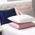 Pillow Cases| Cozy Essentials Cozy Essentials Jumbo Dove Grey Pure Luxury Silk Pillowcases - GS54429
