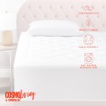 Mattress Covers & Toppers| CosmoLiving by Cosmopolitan 15-in D Cotton Full Mattress Cover - UM52235