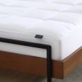 Mattress Covers & Toppers| Smithsonian Sleep Collection Smithsonian Cool High-Loft Mattress Pad - TC78199