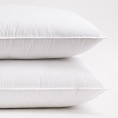 Bed Pillows| Cozy Essentials 2-Pack Queen Medium Down Alternative Bed Pillow - ST34498