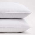 Bed Pillows| Cozy Essentials 2-Pack Queen Medium Down Alternative Bed Pillow - SW96649