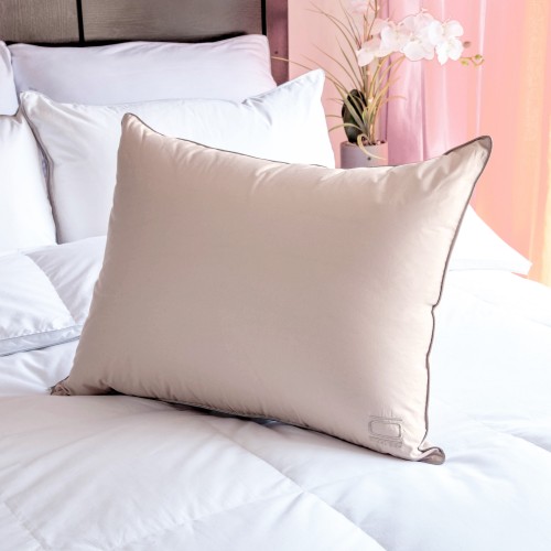 Bed Pillows| Nikki Chu Nikki Chu Soft Clay White Down Standard Pillow - HM65362