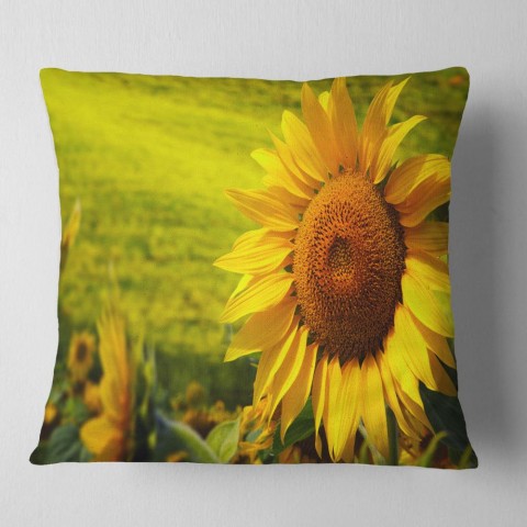 Throw Pillows| Designart 16-in x 16-in Green Polyester Indoor Decorative Pillow - TR53025