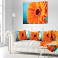 Throw Pillows| Designart 16-in x 16-in Orange Polyester Indoor Decorative Pillow - BN84112