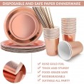 24 Guest Rose Gold Party Plates Kids Birthday Party Disposable Paper Tableware Paper Plates Cup Napkin Straw Set for Tea Party Baby Shower Luncheon Thanksgiving