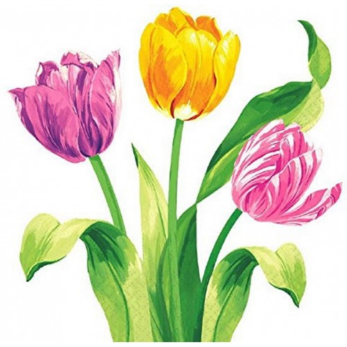 Amscan Bright Tulips Luncheon Napkins 16 Ct. | Party Tableware