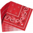Beistle 16 Piece 2 Ply Bandana Disposable Paper Napkins for Western Theme Birthday Party Supplies Tableware 6.5" Red White Black