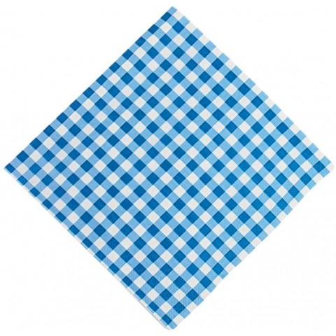 Blue Gingham Luncheon Napkins bulk set 48 Event and Party Tableware Supplies