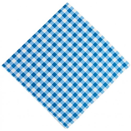 Blue Gingham Luncheon Napkins bulk set 48 Event and Party Tableware Supplies
