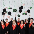 LINGTEER Congrats Grad 2022 Swirls Streamers 12 pcs Class of 2022 School Home Graduation Party Foil Hanging Swirls Streamers Decorations.- Green