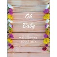Baby Shower Favors-Oh Baby Wildflower Seeds Mix Packets for Woodland Succulent  Rustic Jungle and Oh Baby Baby Shower Decorations Theme-Unique Party Favors for Guests-Non GMO-20 Individual Packets