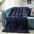 Blankets & Throws| Cozy Tyme Ekon Navy 48-in x 72-in 15-lb Weighted Blanket - EH05970