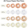 EpiqueOne 20-Piece Paper Pom Poms Party Kit – Tissue Pom Pom Decorations; Birthday Party Decorations Bridal Shower – Baby Shower Easy to Assemble and Install; White Ivory Peach and Champagne